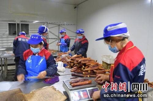 汶川 腊肉飘香打造舌尖上的富民产业