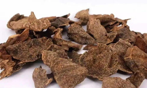 古代 饮料 沉香熟水
