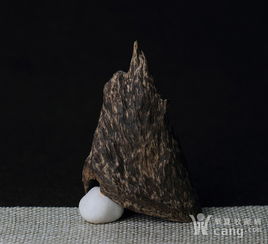 香缘木艺 精品苞壳 加里曼丹沉香沉水耳朵形状熏香原料