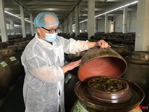 实地探访四川老坛酸菜加工厂 土坑绝迹,全程标准化车间 业内称长远看土坑酸菜曝光是好消息