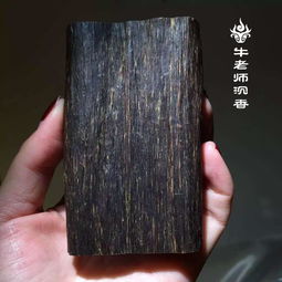 说多了沉香,看看沉香叶有什么作用