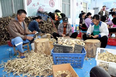电白:沉香产业年产值3年内要超100亿元
