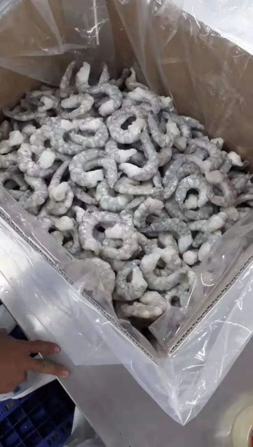 印度越南疫情严重,下半年虾仁和黑虎虾行情持续走高