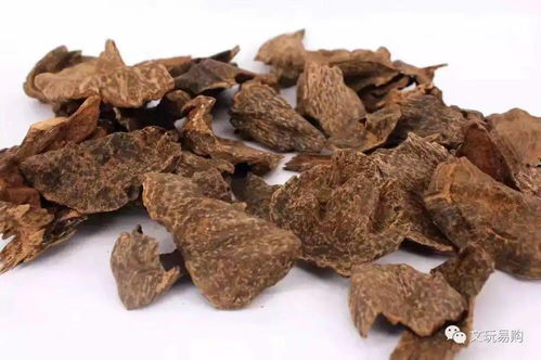 沉香的好坏跟年份有关系