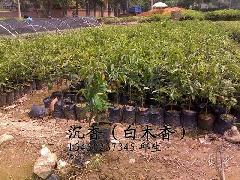 灵寿县建辉矿产品加工厂生产氧化铁黑--氧化铁黑的用途/氧化铁黑多少钱一吨/河北氧化铁黑